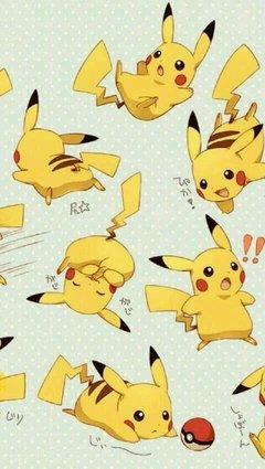 百无一用