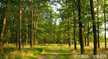 森林