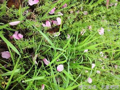  润物无声