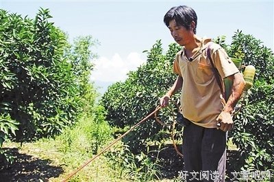 养老送终