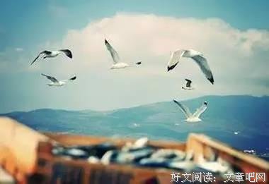 摇滚的年轻人