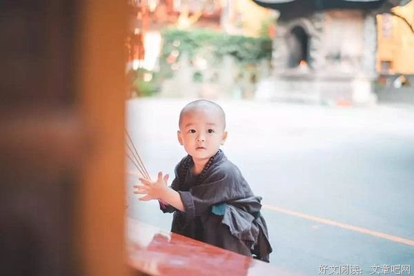 送给把我当傻子的人！