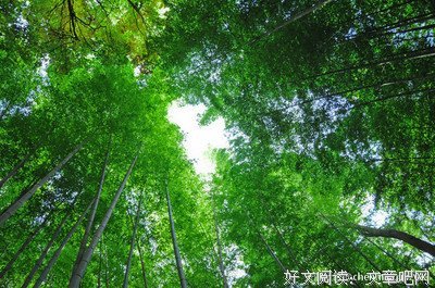 感情经不起平淡，友情经不起风雨