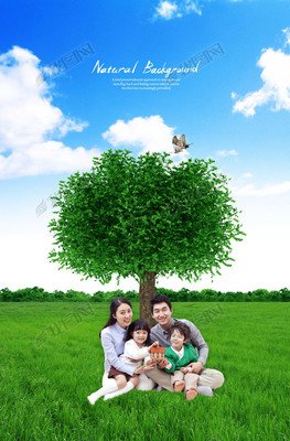 胡大树 许你一辈子幸福