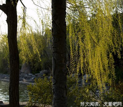 柔弱和坚强