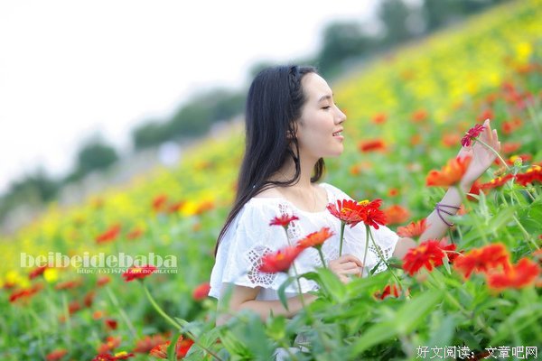 花开的季节