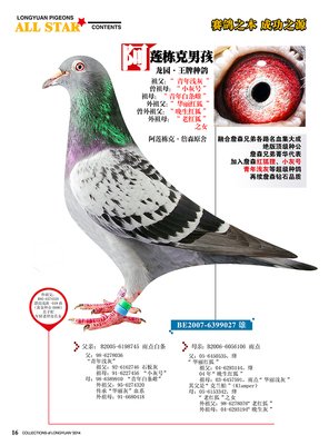阿莲