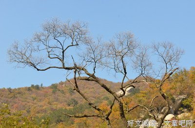暮秋