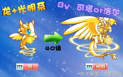 洛尔伶
