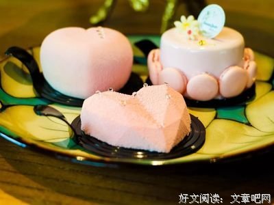 记住好时光