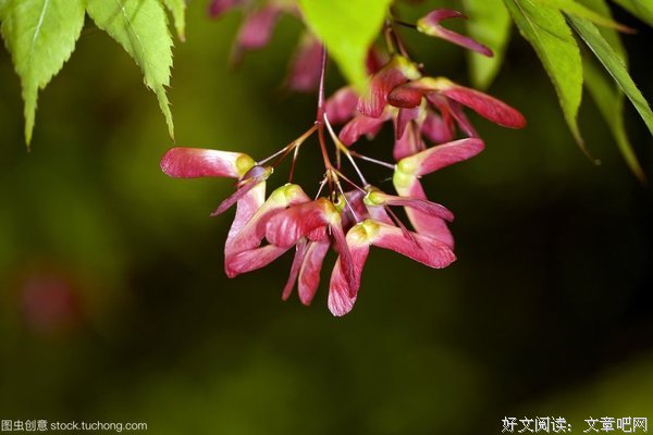 风的远离