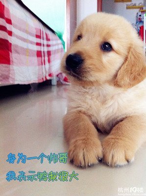 姥姥一生