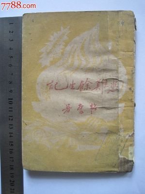余生记
