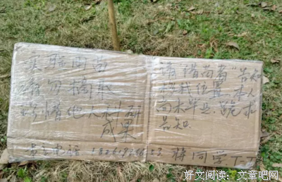 偷树