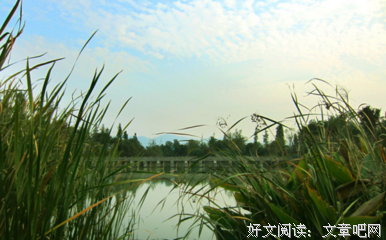 错过的那些