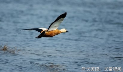 波澜