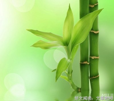 还是我自己