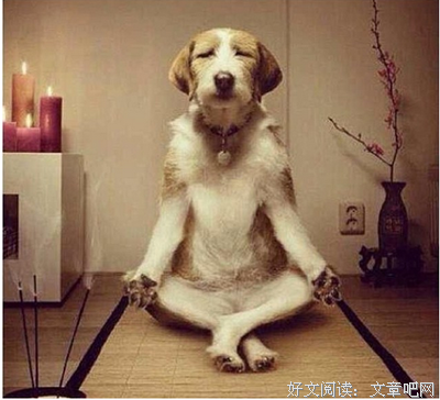 佛系