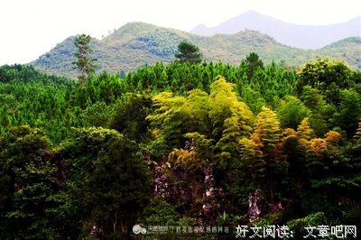 美景不可留
