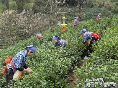 午后闻