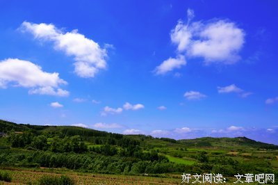 发现的眼睛