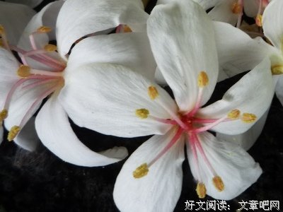 心中一把锁