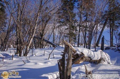 零度以下的温暖