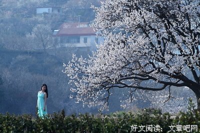 情丝似梦
