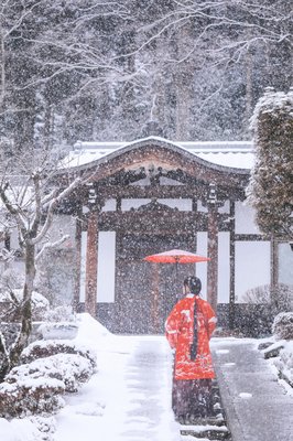 相思雪