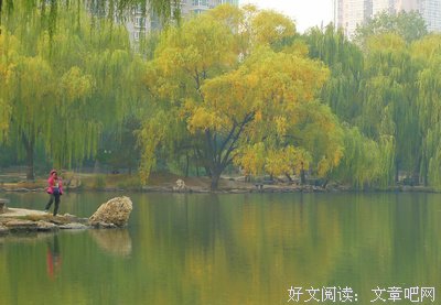 游园小记