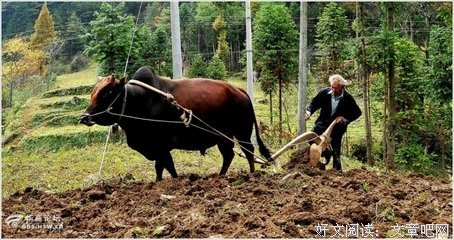 我的老父亲