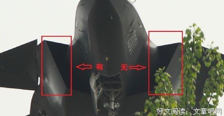 巴羊