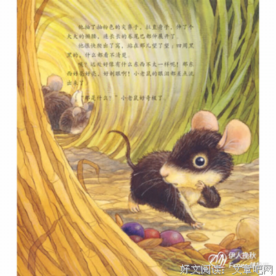 相信世界