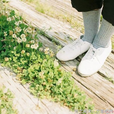 百分百女孩