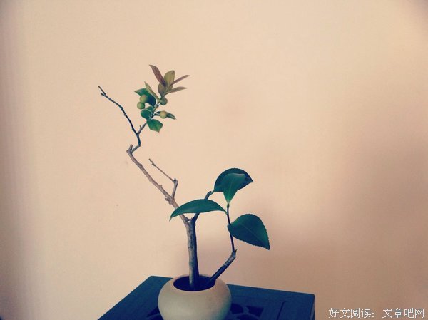 有时候！