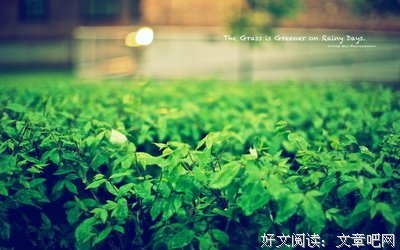 那些美好的时光