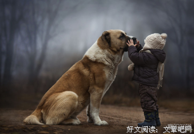 对视