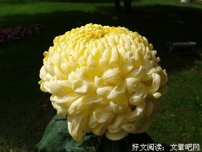 秋天记