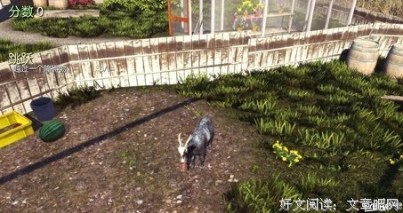 一只羊的一生