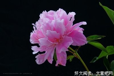 你在我心中排第几？