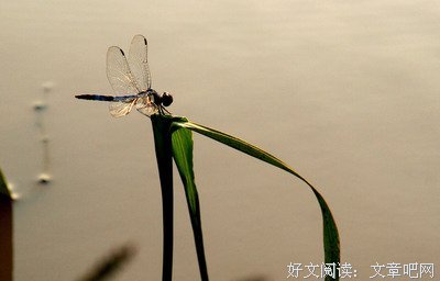 午夜断想