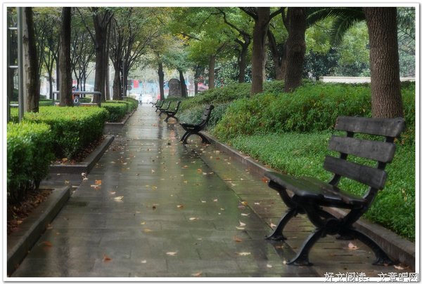 秋雨绵绵