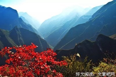 这份秋意