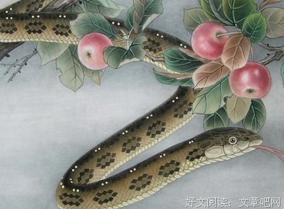 我出生的那年