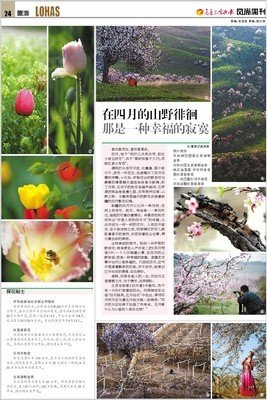 那是幸福
