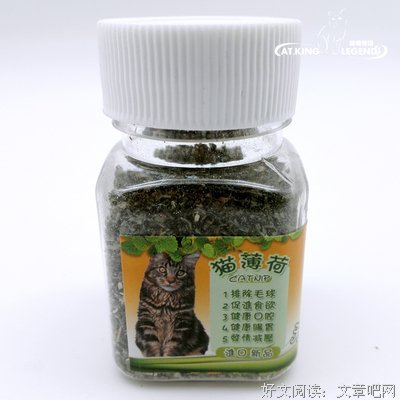 毛球猫