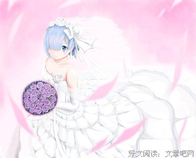 蕾