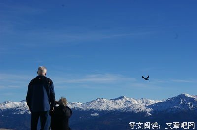 老了