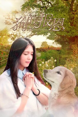 狗的报恩