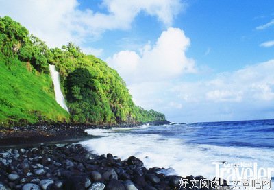 在夏日里屏息而死